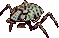followerability waterclaw