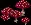 ForestMushroom3