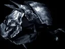 fortressbeetle