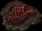 fossil daemon6