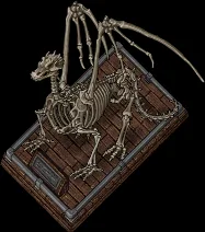 fossil dragon00