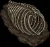 fossil dragon02