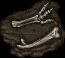 fossil dragon06