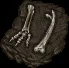 fossil dragon08