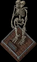 fossil ettin00