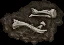 fossil ettin05