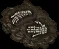 fossil ettin06