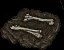 fossil ettin09