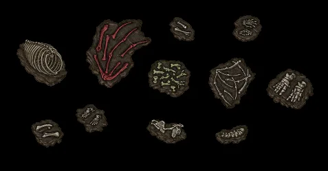 fossilpartsonblack