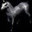 freedomhorsemounttoken