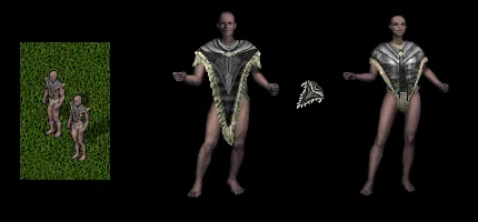 fringedponcho