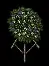 funeralfloraldisplay