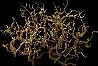 GiantDriedBrambles