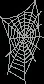 giantspiderweb