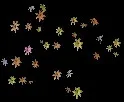 GiantStarfishConstellation