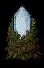glowingcrystalstump