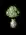 gnometoadstool