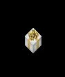 goldtrimmedpresent