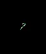 greencandycane
