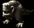 guar
