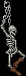hangingskeleton