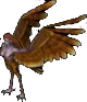 Harpy