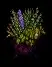 herbalcauldron