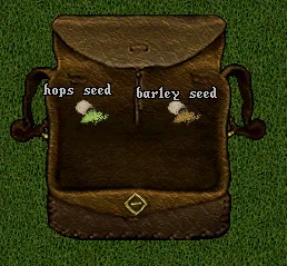 hopsbarleyseeds