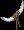 horntrophy