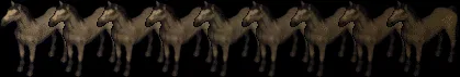 horse18191827