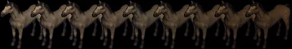 horse18281836