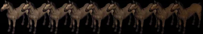 horse18371845