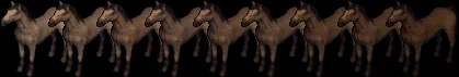 horse18461854