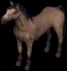 horse1864