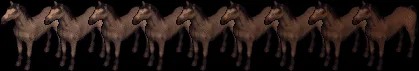 horse18641872