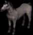 horse1873