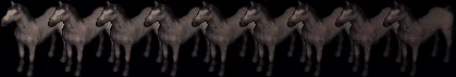 horse18731881