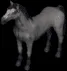 horse1882