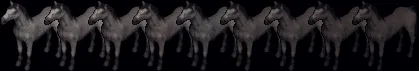 horse18821890