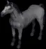 horse1891