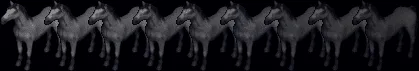 horse18911899