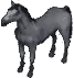 horse1900