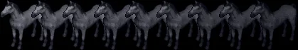 horse19001908