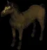 horse1921