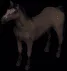 horse1927
