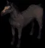 horse1928