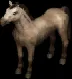 horse200