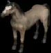 horse228