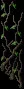 Housevine2