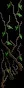 Housevine4